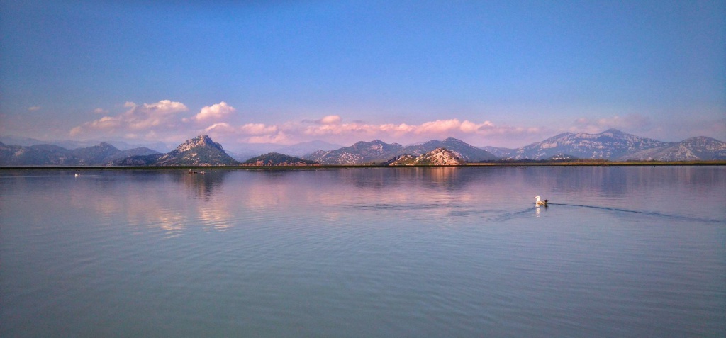  Скадарское озеро
